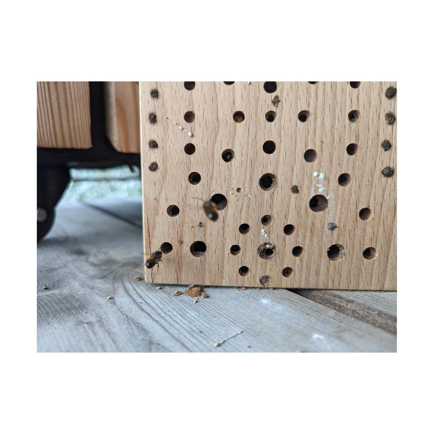 Massives Nistholz-Insektenhotel aus Buchenholz - Wildbienen Hotel - 25 x 18 x 9 cm