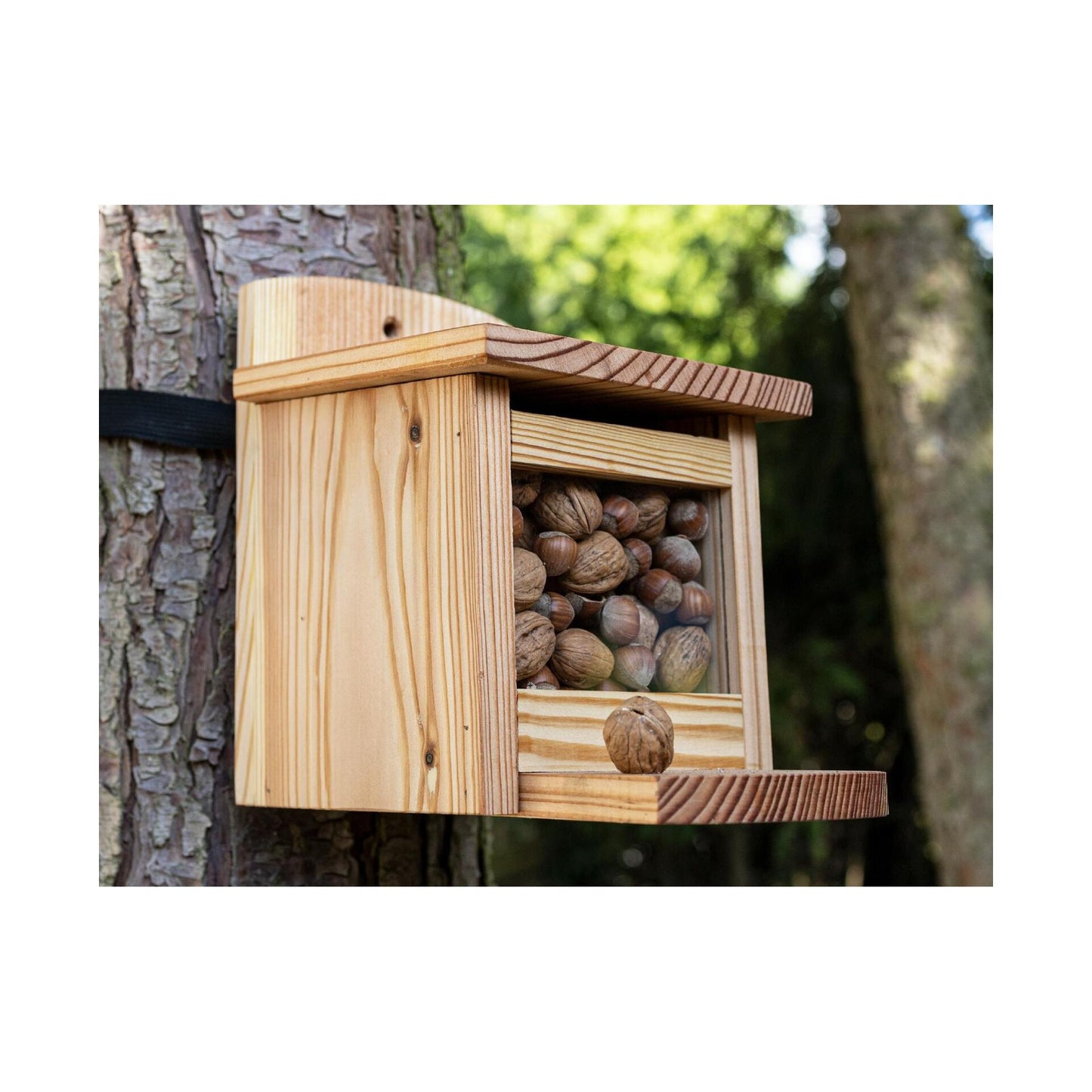 Eichhörnchen Futterhaus aus europäischer Lärche - inklusive Nussspender / Futterbox