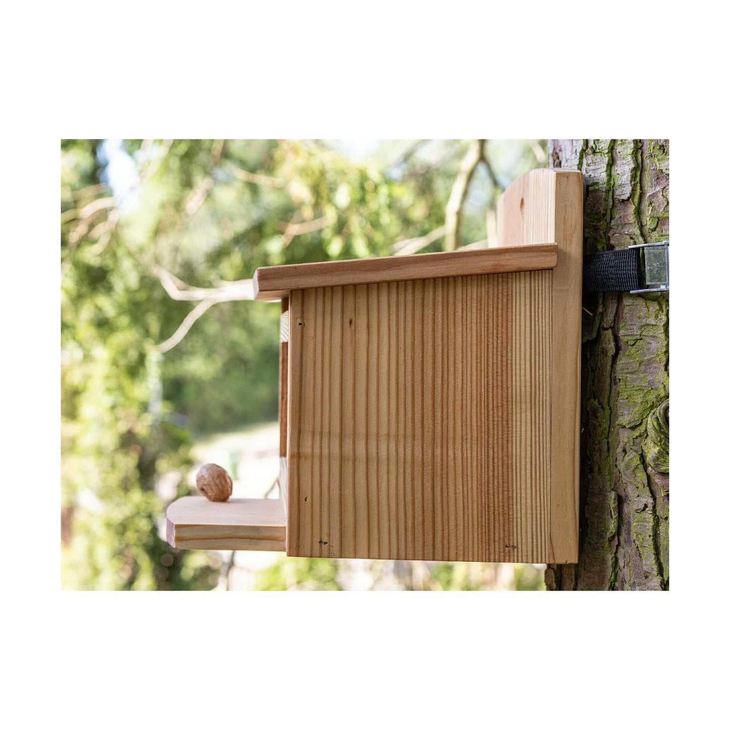 Eichhörnchen Futterhaus aus europäischer Lärche - inklusive Nussspender / Futterbox