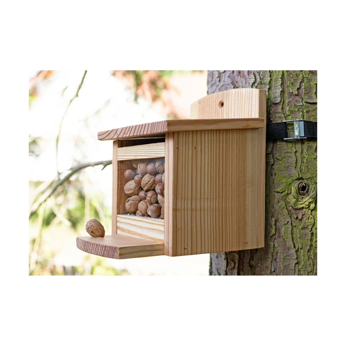 Eichhörnchen Futterhaus aus europäischer Lärche - inklusive Nussspender / Futterbox