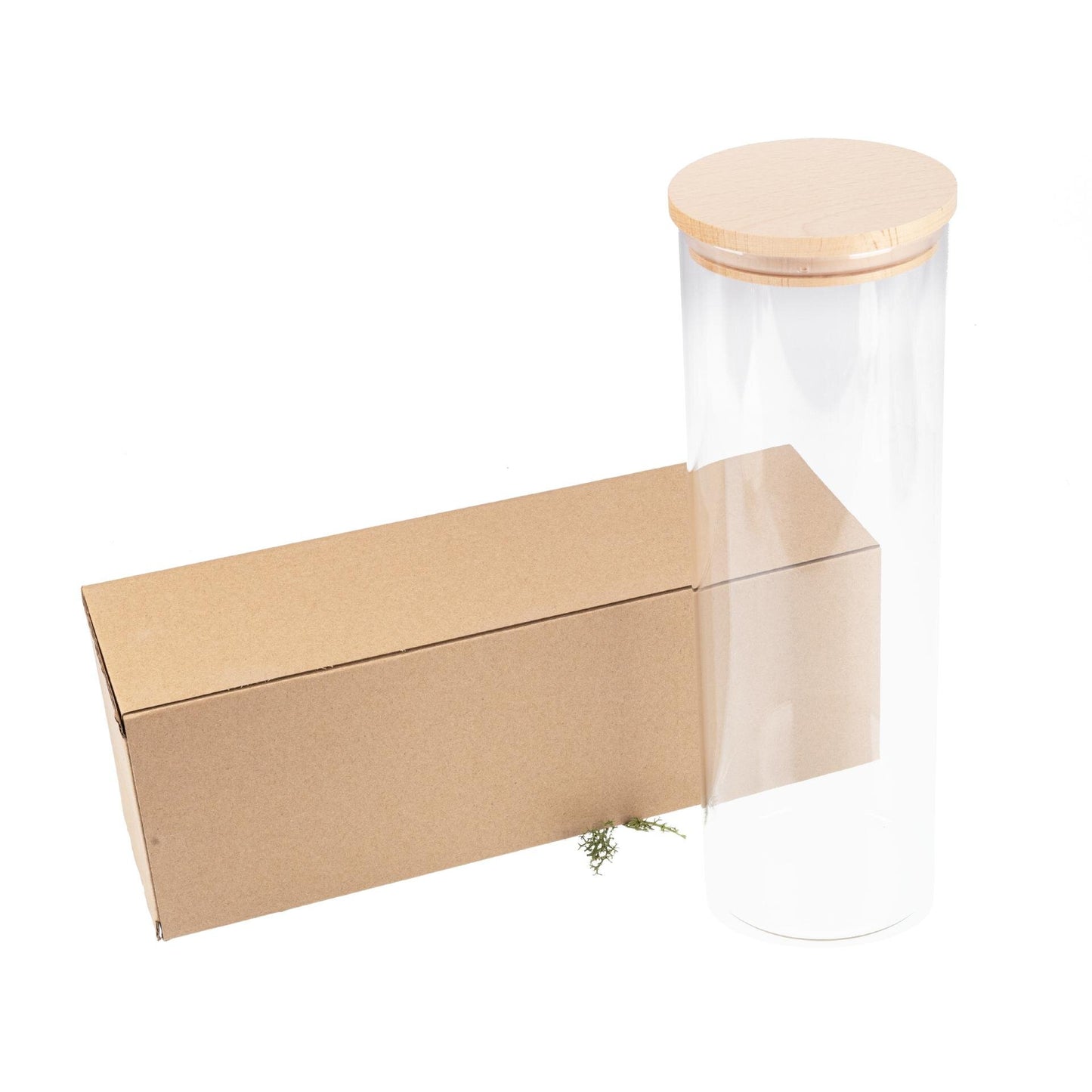 Vorratsglas 2,2 L mit FSC® Buchenholzdeckel – 30 cm hoch, Borosilikatglas